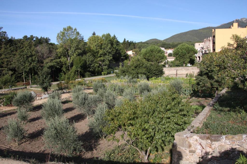 Cal Ratero Apartamento