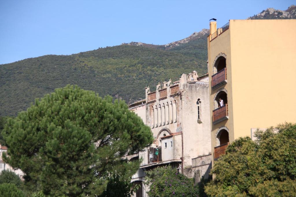 Apartamento Cal Ratero *